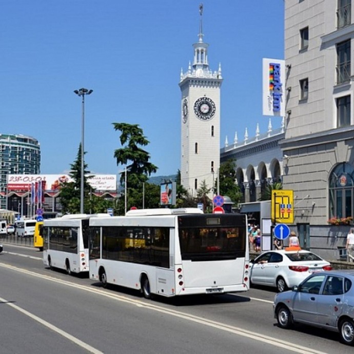 В Сочи изменится маршрутная сеть автобусов